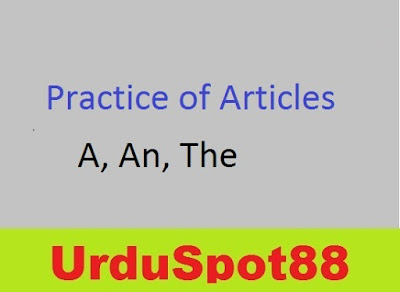 Articles practice