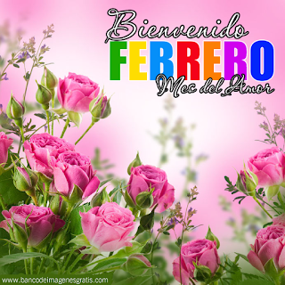 bienvenido febrero mes del amor