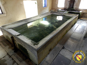 VANNES-LE-CHATEL (54)  - Le lavoir