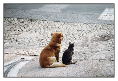 Fotos - Imagenes tiernas de Amistad