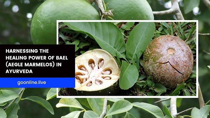 Harnessing the Healing Power of Bael (Aegle marmelos) in Ayurveda: A Comprehensive Guide to Its Benefits and Uses