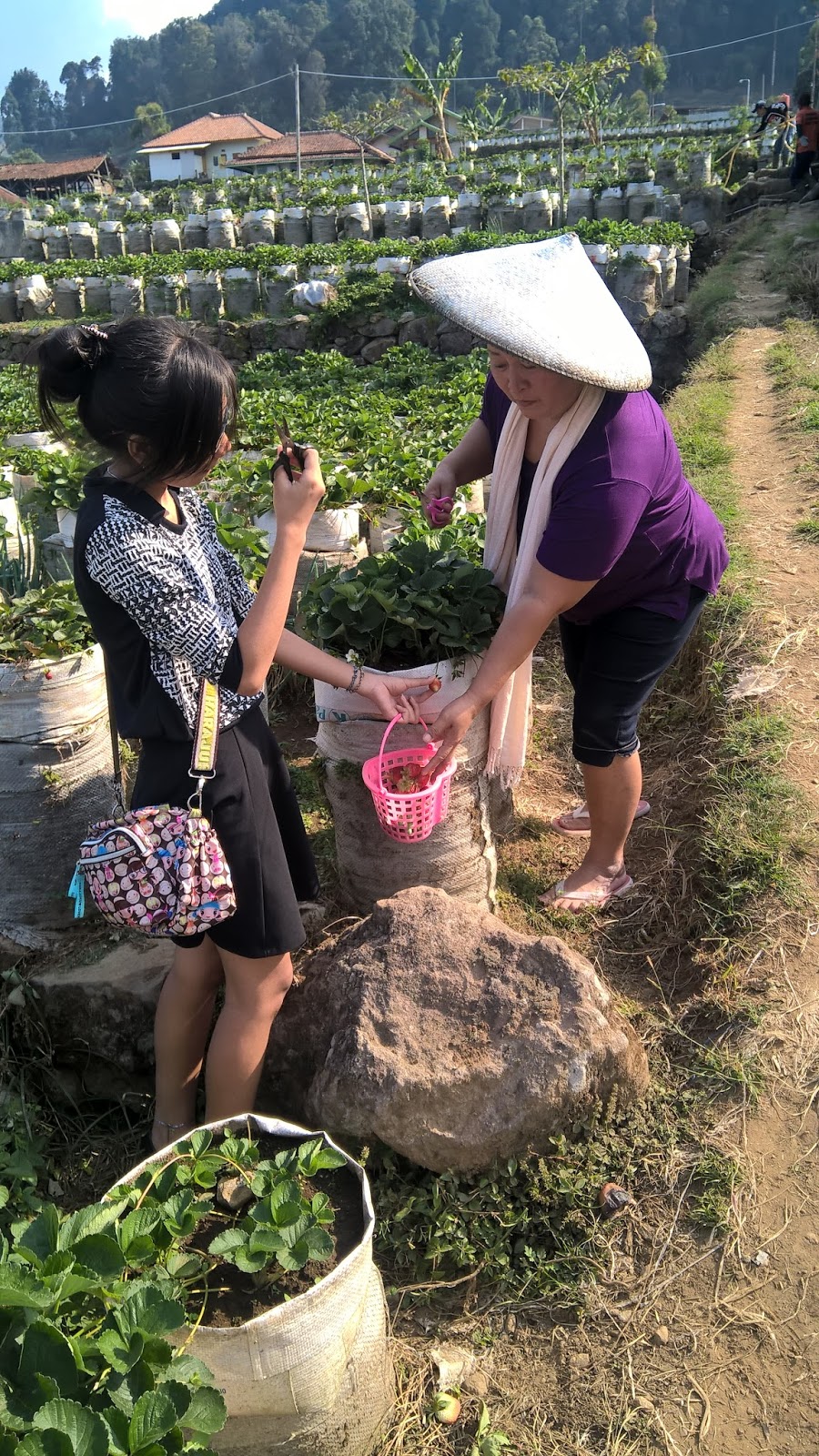 Mr and Mrs Leonard: Refreshing ke Ciwidey - Lembang (Bagian 2)