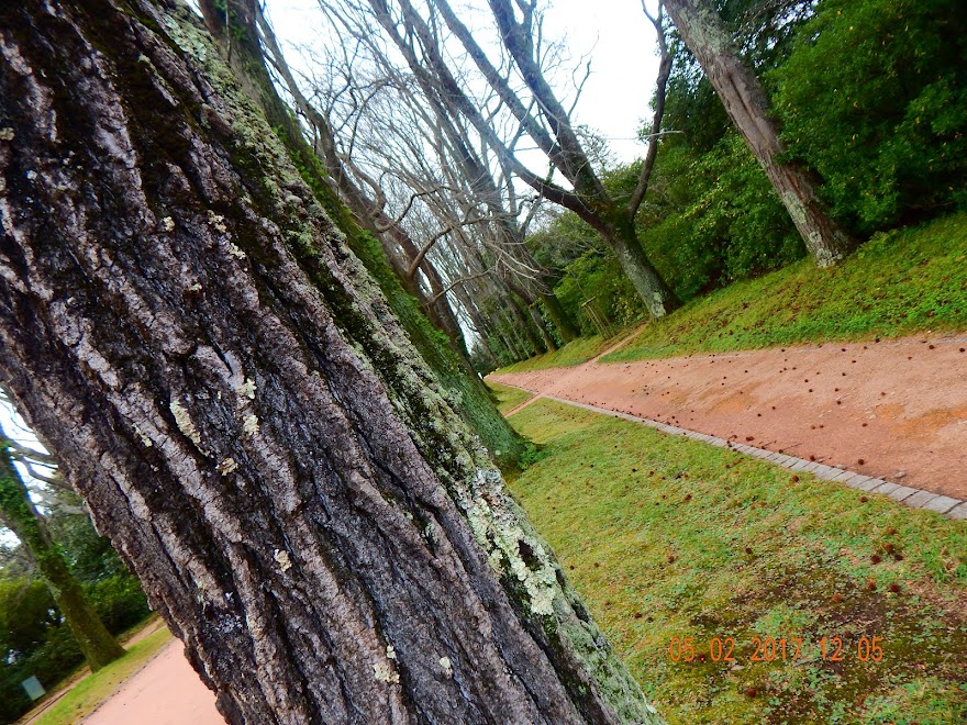 MUSEU DE SERRALVES-PORTO-PORTUGAL-2017