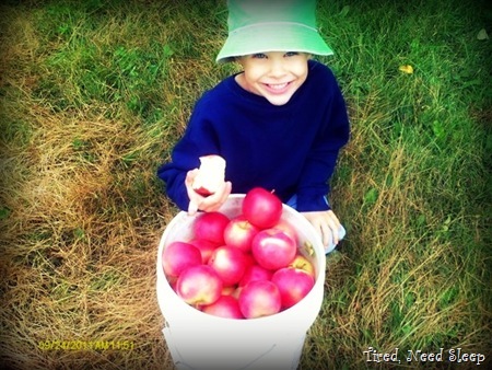 M with a freshly picked bucket of apples