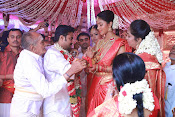 Amala Paul Al Vijay wedding Photos-thumbnail-25