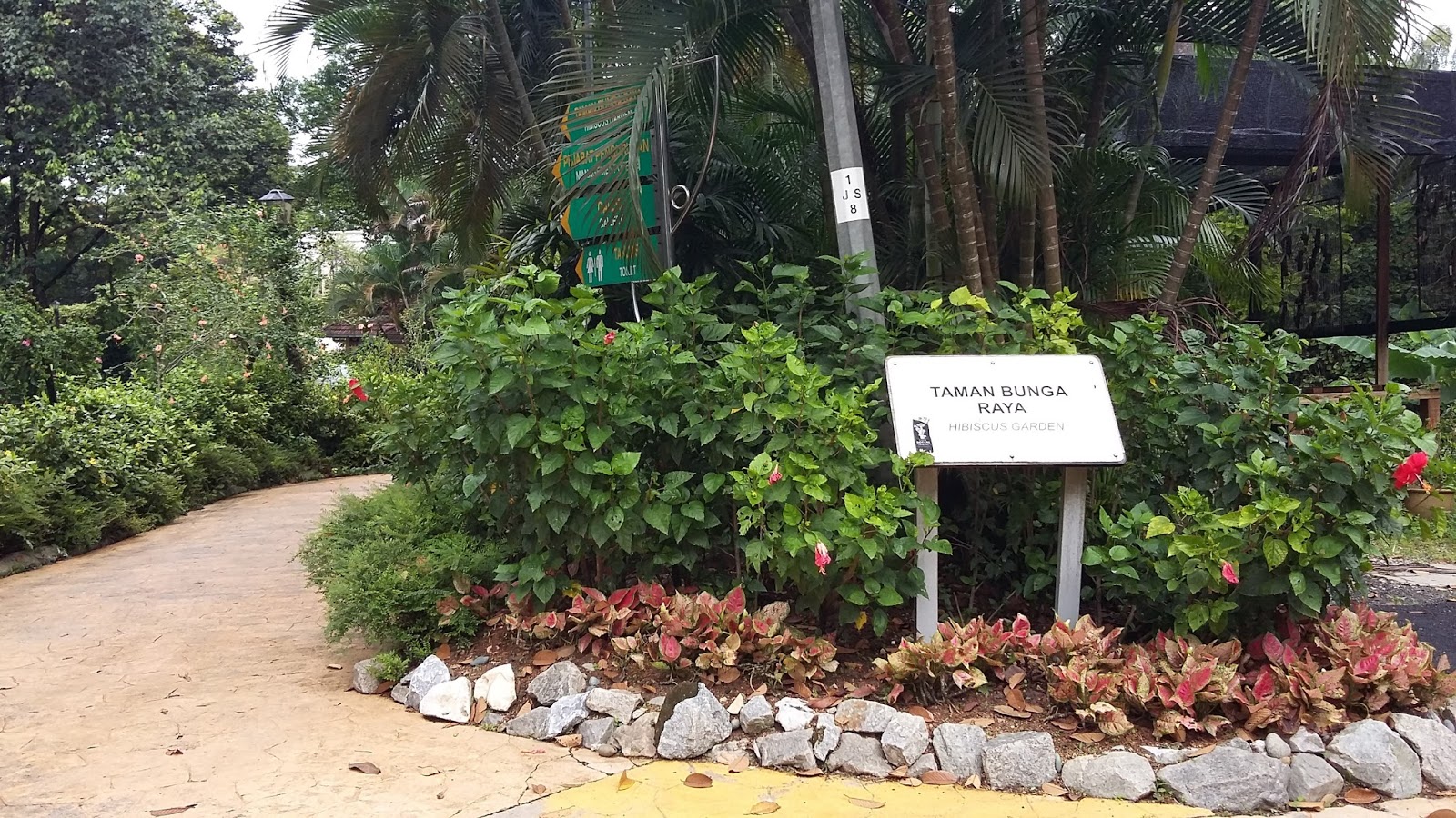 Mohd Faiz bin Abdul Manan: Taman Bunga Raya