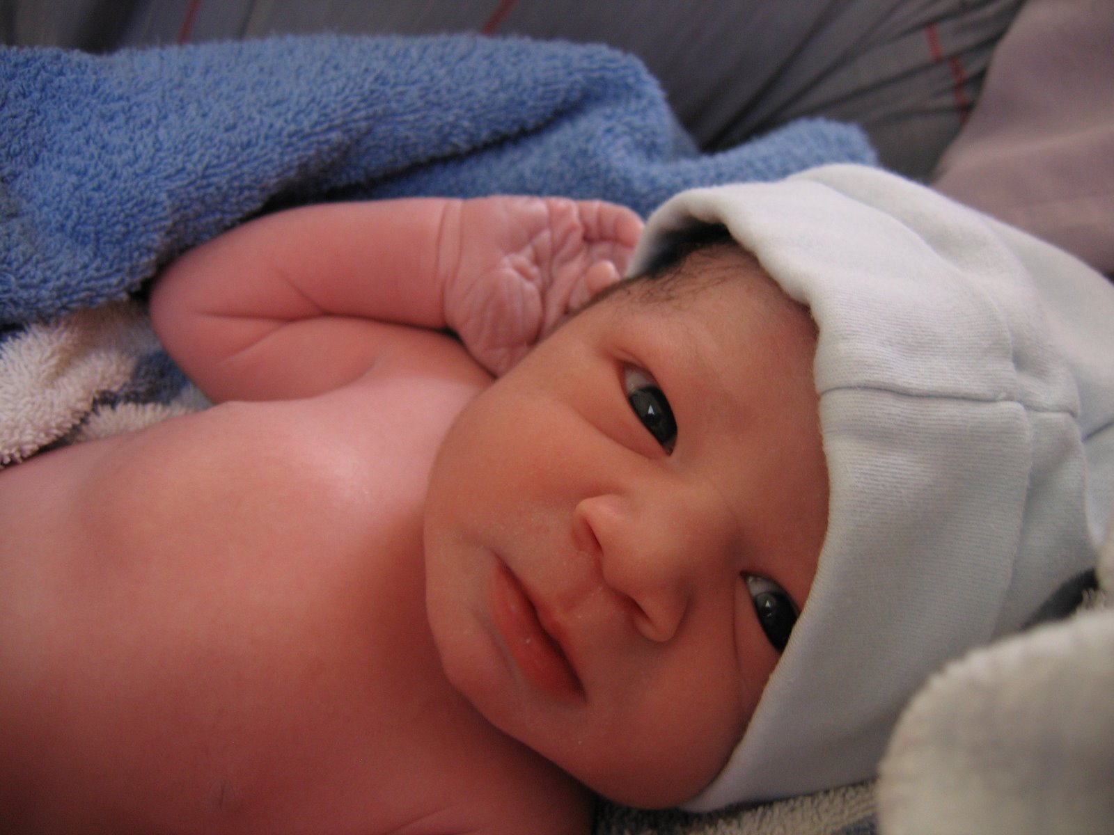 cute newborn baby girl