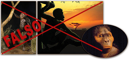 Greys Ufo Spacecraft 4