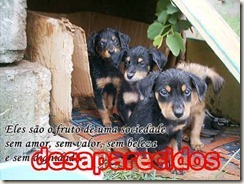 família desaparecida