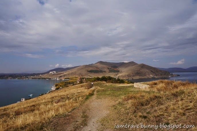 DSC06955