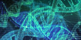 How To Store Digital Data In DNA