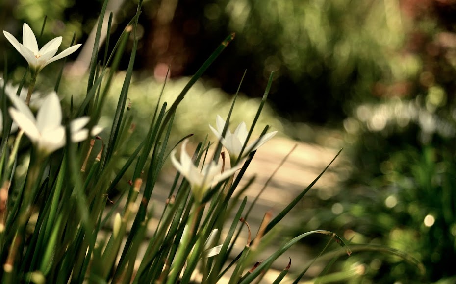 Through my lens