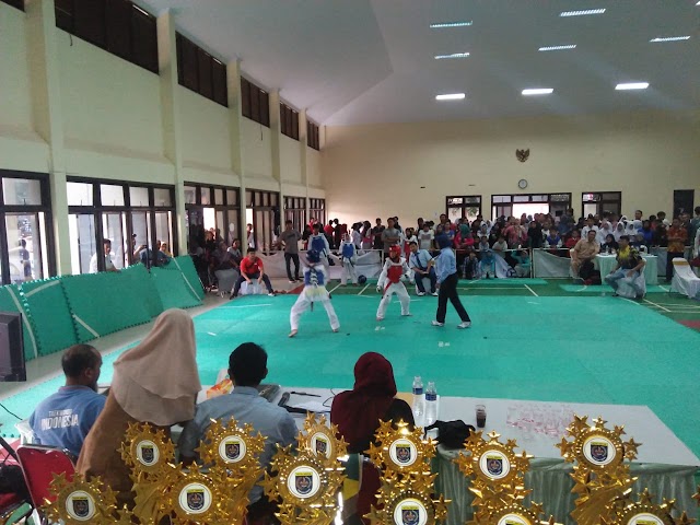 LPI Taekwondo Ajang Pencarian Bibit Berbakat