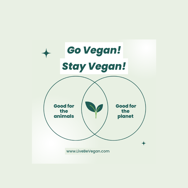 "GoVegan, Stay Vegan!'