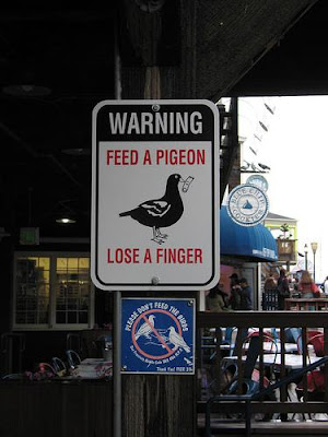 Funny Street Signs