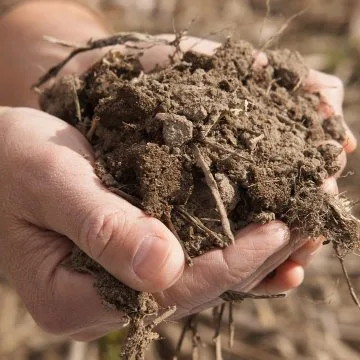 3 consejos para aumentar la materia orgánica de tu suelo
