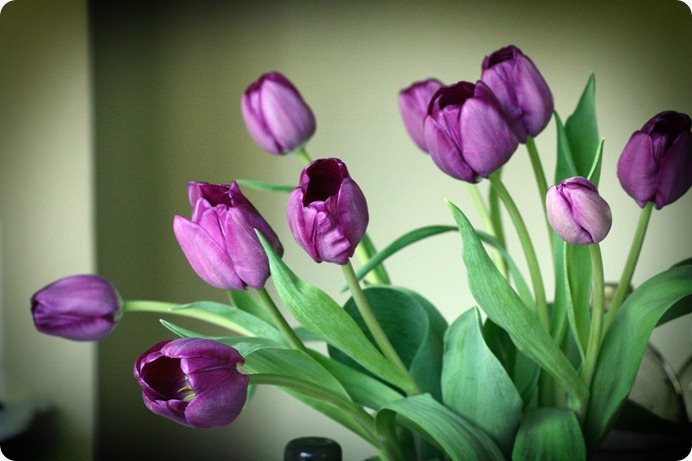 IMG_4747_edit2