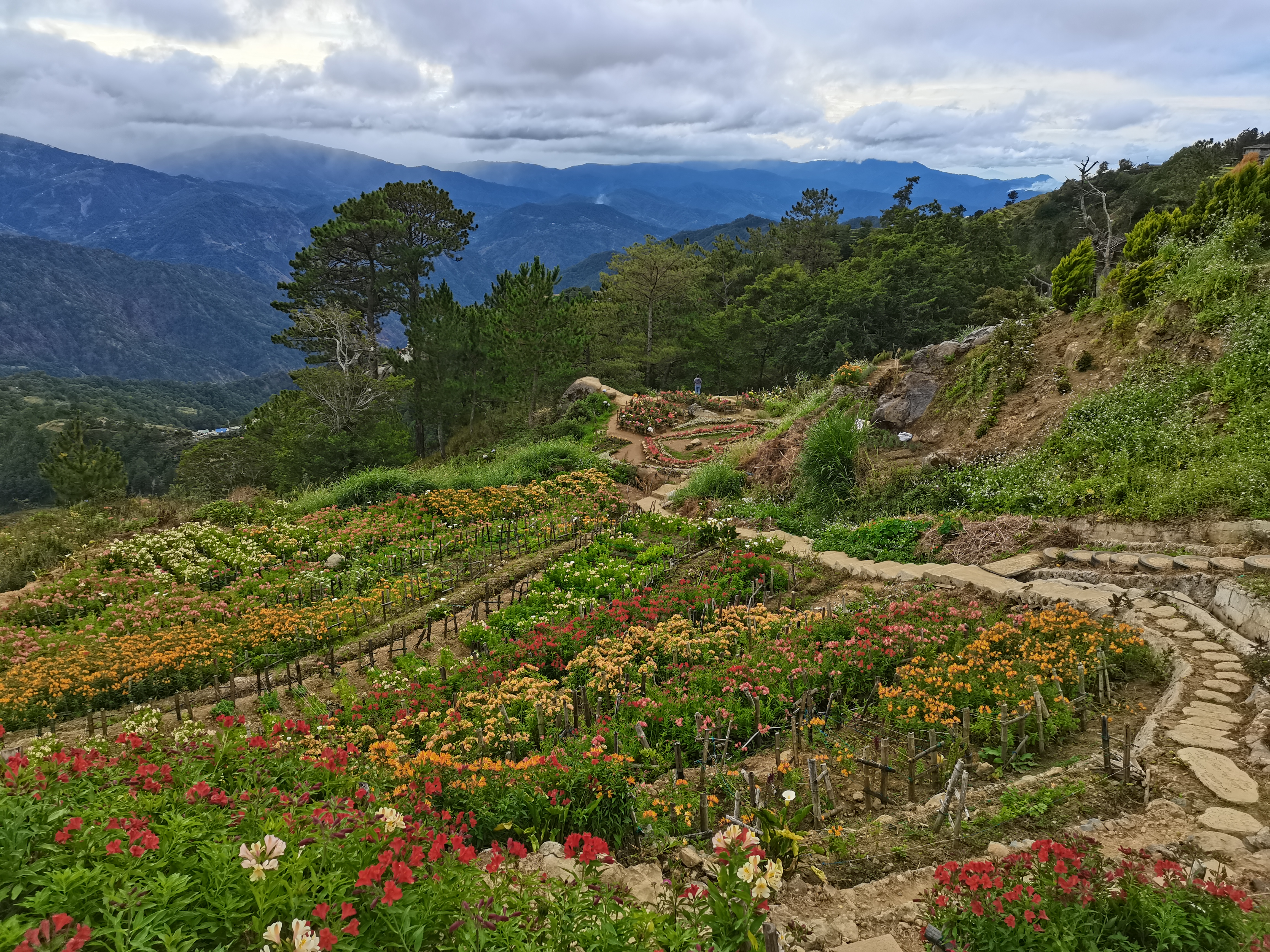 Visiting Northern Blossom Flower Farm