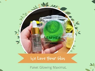 Paket glowing Leafhea