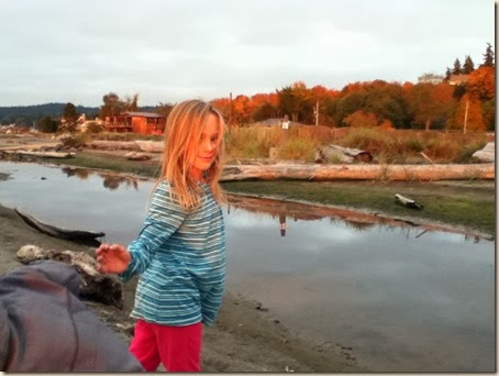 Maxwelton beach 042