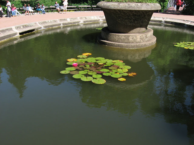 Sofiyivka arboretum in the Uman city