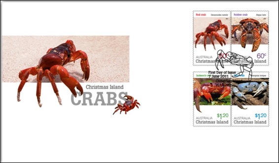 crab.jpg 1