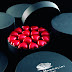 Pierre Marcolini Belgian luxury chocolats