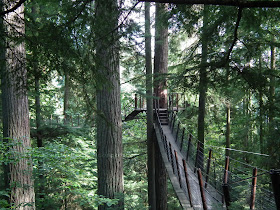Observation Deck and rope-bridges built high in the trees at Capilano Suspension Bridge