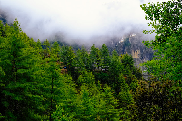 Paro Taktsang / Tiger's Nest Monastery