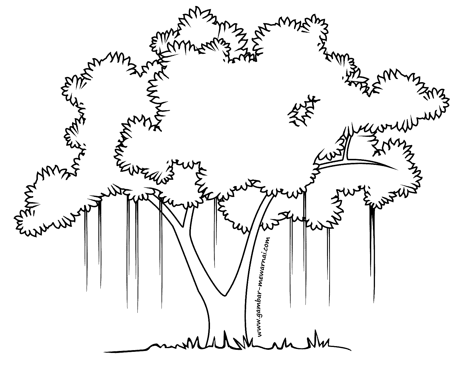 Gambar Kartun Mewarnai Pohon Bestkartun