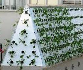 Why Hydroponics is better than soil?