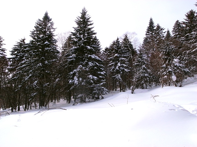 R1076280.JPG