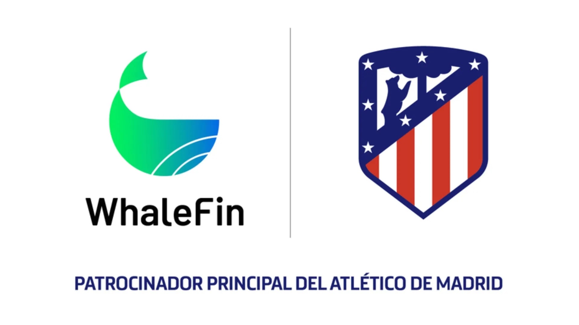 whalefin-patrocinador-atletico-de-madrid