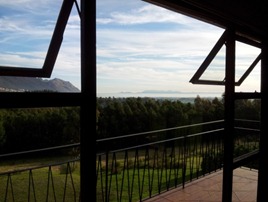 view