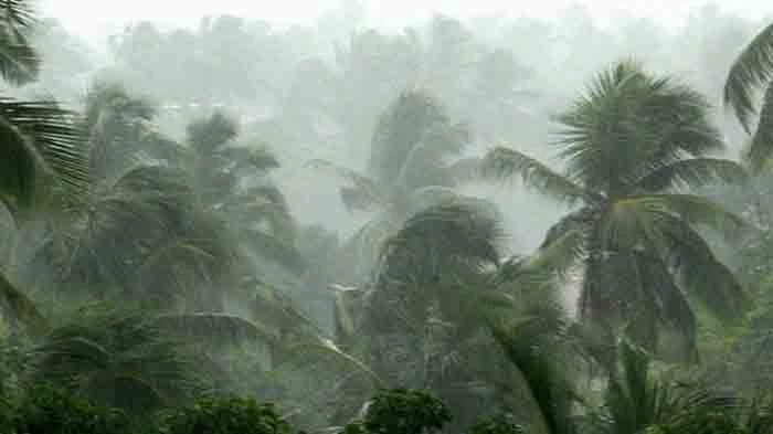 Thiruvananthapuram, News, Monsoon, Kerala, Rain, Monsoon likely to be below normal in Kerala