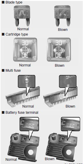 Fuses Types - Normal , Blown