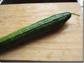 P7295229