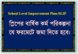 স্লিপের বার্ষিক কর্ম পরিকল্পনা যে ফরমেটে জমা দিতে হবে || Annual Action Plan Format of SLIP