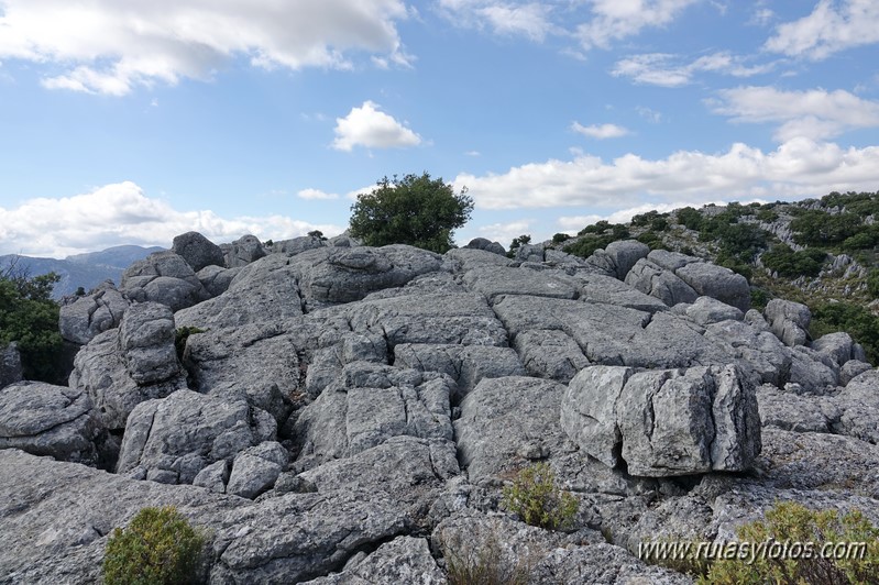 Crestería Sierra de Líbar y Mojón Alto