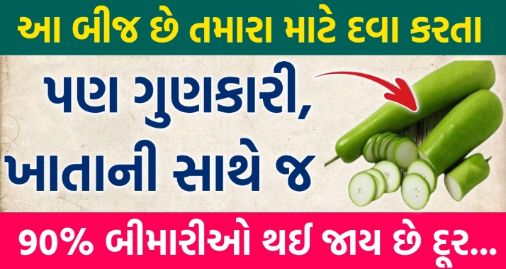 આ બીજ છે તમારા માટે દવા કરતા પણ ગુણકારી, ખાતાની સાથે જ 90% બીમારીઓ થઈ જાય છે દૂર.