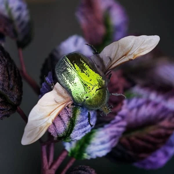 colorful moth with iridescent green body, placed on foliage