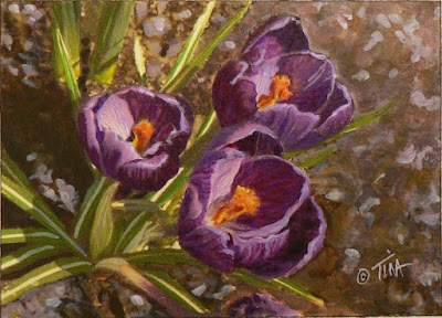 Small 5x7 inch purple crocus painting ©2019 Tina M.Welter  