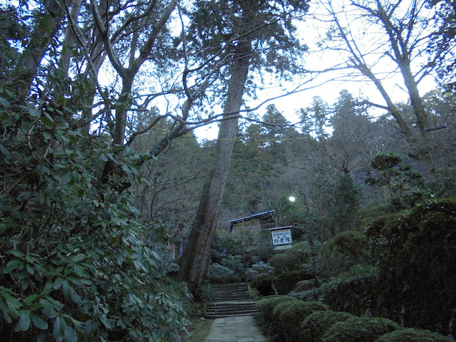 旅館　紅葉館