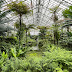 Fern House at the Garfield Park Conservatory