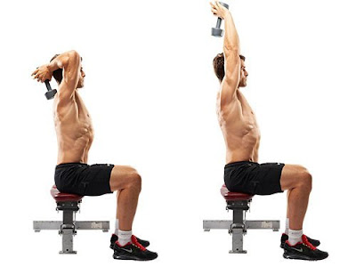 Seated Dumbbell Triceps Extension