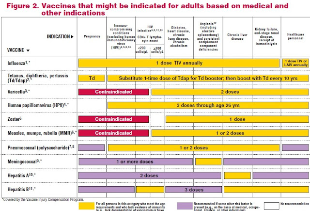 Recommended Adult Immunization Schedule - 2011