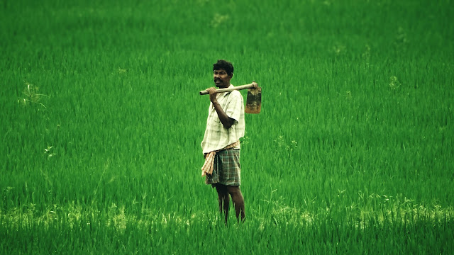 Farmer