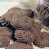 RESEP KUE KERING SAGU COKLAT