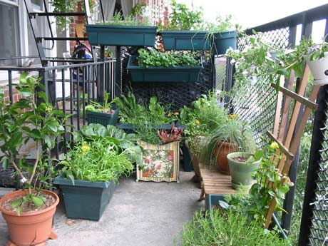 Small Balcony Garden Ideas