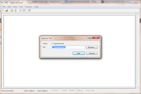 Capturing Text In Hyperterminal